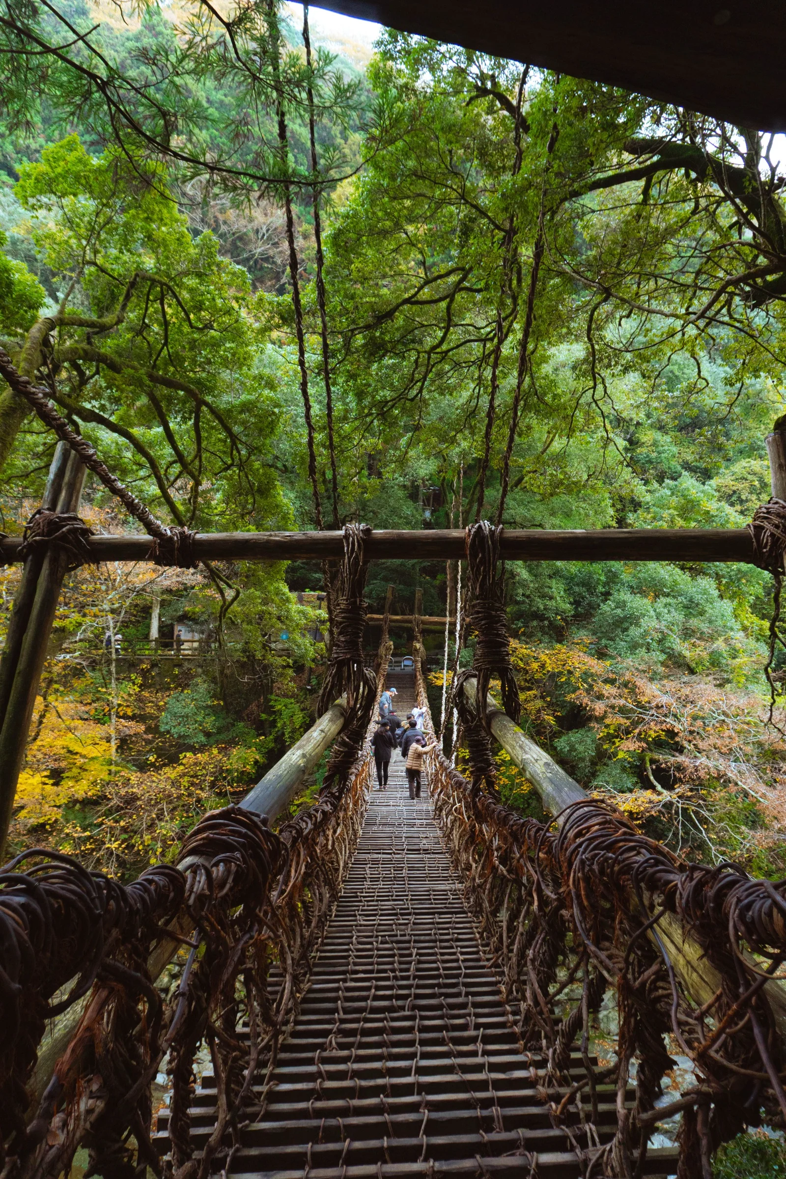 Shikoku